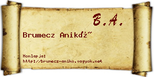 Brumecz Anikó névjegykártya